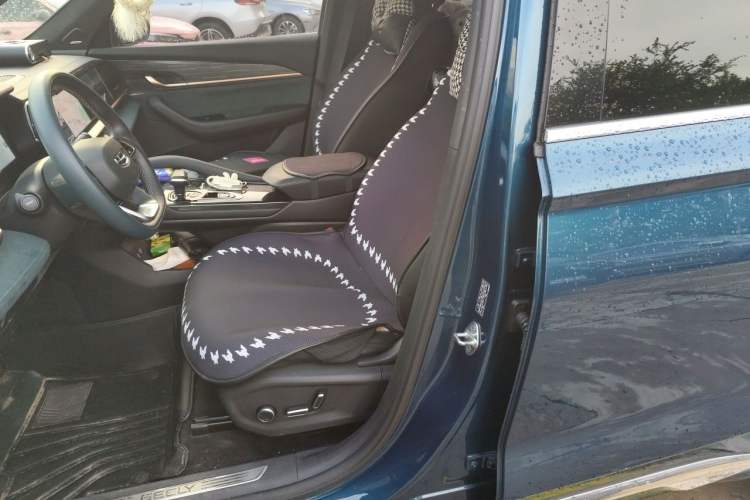 Used Geely Auto Monjaro L 2021 2.0TD High-Power Automatic All-Wheel-Drive Flagship Version Left Front Seat
