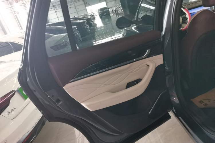 Used Geely Auto Monjaro L 2021 2.0TD DCT EVO Two-Wheel Drive Prestige Version Left Rear Door Interior