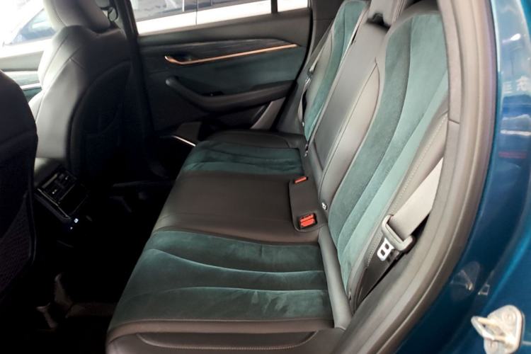 Used Geely Auto Monjaro L 2021 2.0TD DCT EVO Two-Wheel Drive Prestige Version Left Rear Seat