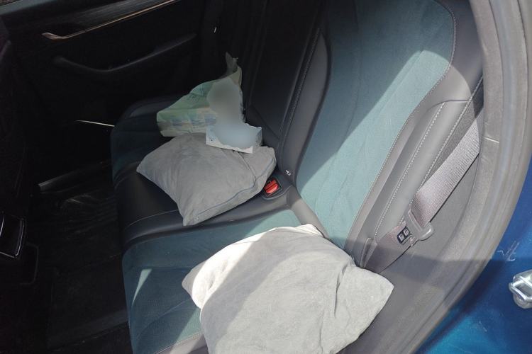 Used Geely Auto Monjaro L 2021 2.0TD DCT EVO Two-Wheel Drive Prestige Version Left Rear Seat