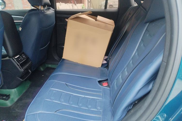 Used Geely Auto Monjaro L 2021 2.0TD DCT EVO Two-Wheel Drive Prestige Version Left Rear Seat