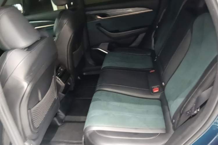 Used Geely Auto Monjaro L 2021 2.0TD DCT EVO Two-Wheel Drive Smart Luxury Version Left Rear Seat