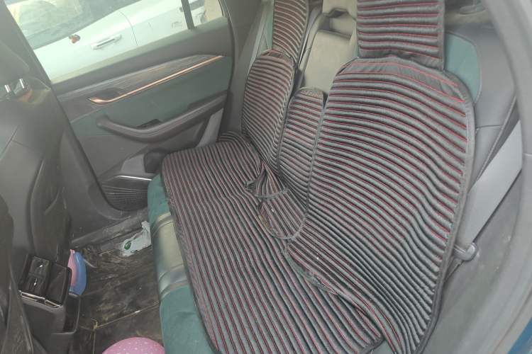Used Geely Auto Monjaro L 2021 2.0TD DCT EVO Two-Wheel Drive Prestige Version Left Rear Seat
