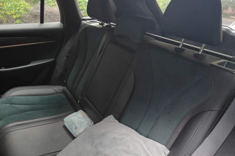 Used Geely Auto Monjaro L 2021 2.0TD DCT EVO Two-Wheel Drive Prestige Version Left Rear Seat