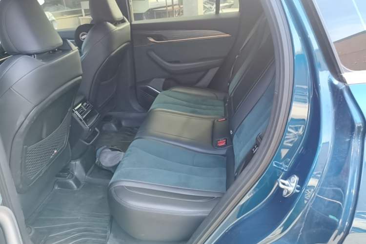 Used Geely Auto Monjaro L 2021 2.0TD DCT EVO Two-Wheel Drive Prestige Version Left Rear Seat