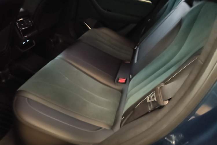 Used Geely Auto Monjaro L 2021 2.0TD High-Power Automatic All-Wheel Drive Luxury Version Left Rear Seat