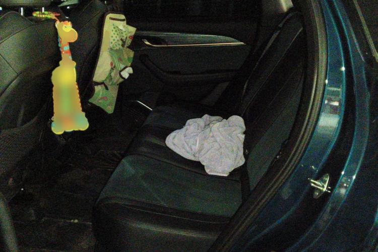 Used Geely Auto Monjaro L 2021 2.0TD High-Power Automatic All-Wheel Drive Luxury Version Left Rear Seat