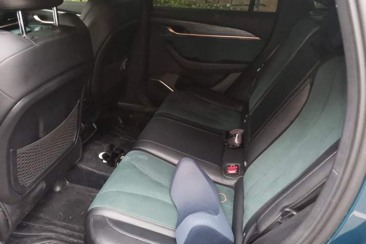 Used Geely Auto Monjaro L 2021 2.0TD High-Power Automatic All-Wheel-Drive Flagship Version Left Rear Seat