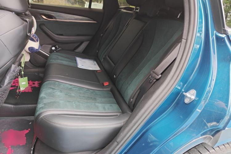Used Geely Auto Monjaro L 2021 2.0TD High-Power Automatic All-Wheel-Drive Flagship Version Left Rear Seat