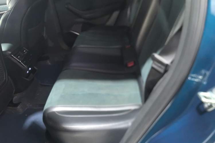Used Geely Auto Monjaro L 2021 2.0TD DCT EVO Two-Wheel-Drive Flagship Version Left Rear Seat
