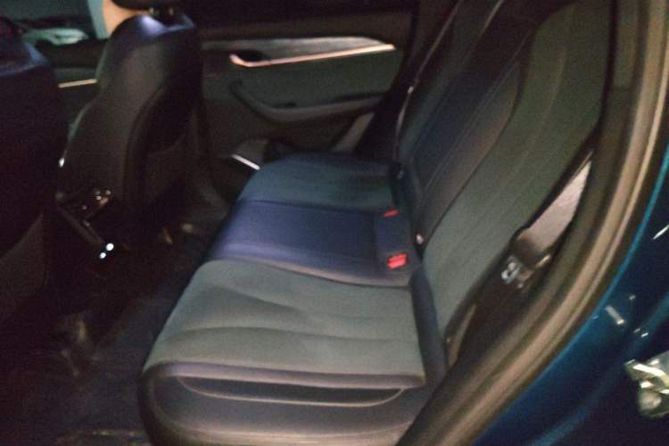Used Geely Auto Monjaro L 2021 2.0TD DCT EVO Two-Wheel Drive Smart Luxury Version Left Rear Seat