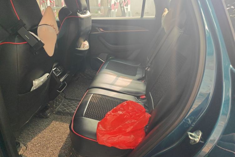 Used Geely Auto Monjaro L 2021 2.0TD DCT EVO Two-Wheel Drive Prestige Version Left Rear Seat