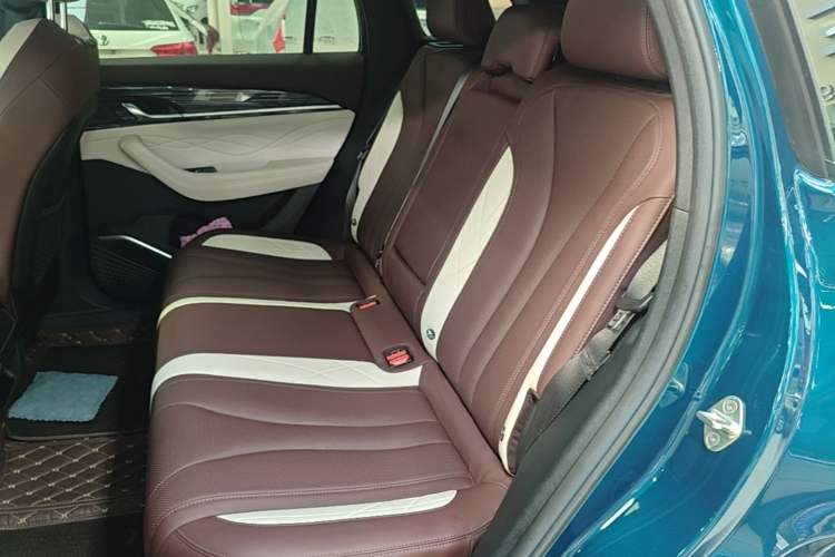 Used Geely Auto Monjaro L 2021 2.0TD DCT EVO Two-Wheel Drive Prestige Version Left Rear Seat