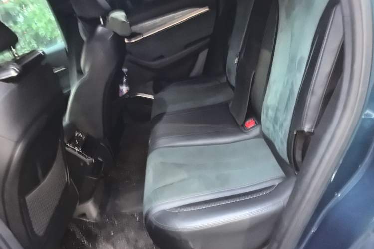 Used Geely Auto Monjaro L 2021 2.0TD DCT EVO Two-Wheel Drive Smart Luxury Version Left Rear Seat
