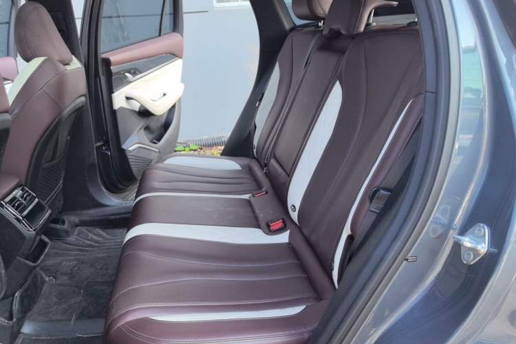 Used Geely Auto Monjaro L 2021 2.0TD DCT EVO Two-Wheel Drive Prestige Version Left Rear Seat