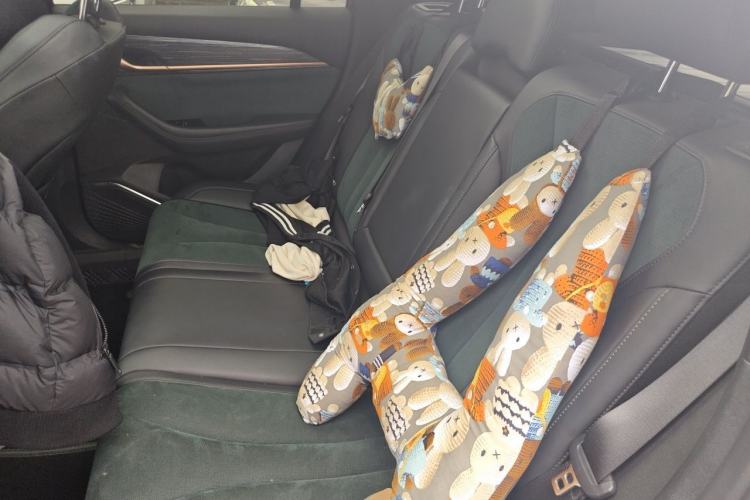 Used Geely Auto Monjaro L 2021 2.0TD High-Power Automatic All-Wheel-Drive Flagship Version Left Rear Seat