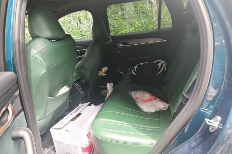 Used Geely Auto Monjaro L 2021 2.0TD DCT EVO Two-Wheel-Drive Flagship Version Left Rear Seat
