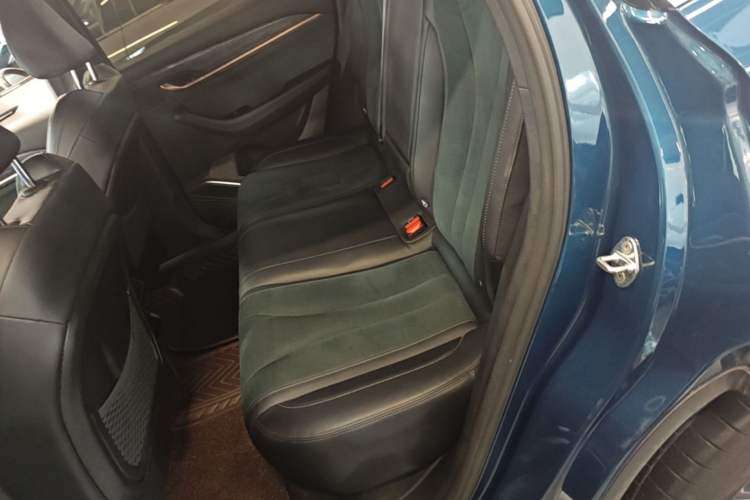 Used Geely Auto Monjaro L 2021 2.0TD DCT EVO Two-Wheel Drive Prestige Version Left Rear Seat