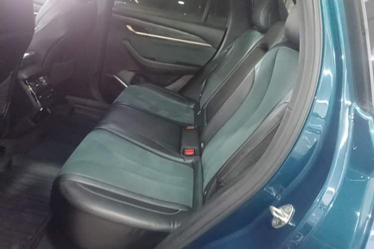 Used Geely Auto Monjaro L 2021 2.0TD DCT EVO Two-Wheel-Drive Flagship Version Left Rear Seat