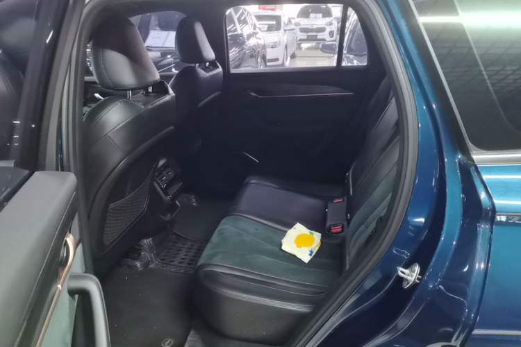 Used Geely Auto Monjaro L 2021 2.0TD DCT EVO Two-Wheel Drive Prestige Version Left Rear Seat