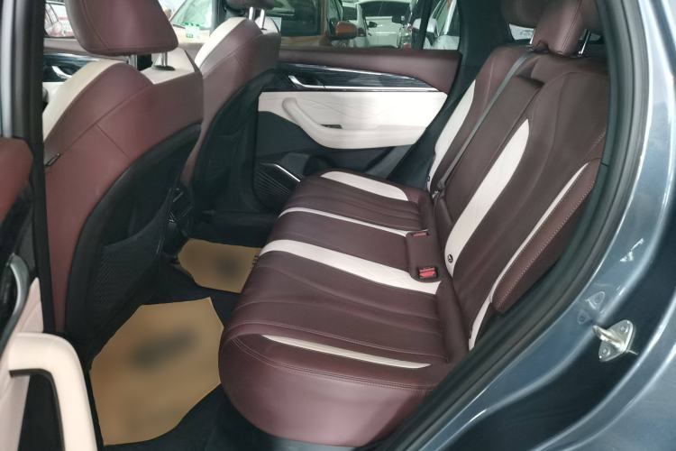 Used Geely Auto Monjaro L 2021 2.0TD DCT EVO Two-Wheel Drive Prestige Version Left Rear Seat