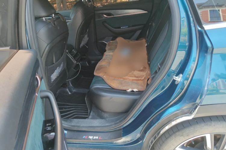 Used Geely Auto Monjaro L 2021 2.0TD DCT EVO Two-Wheel Drive Prestige Version Left Rear Seat