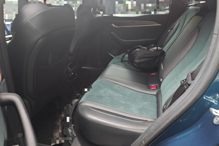 Used Geely Auto Monjaro L 2021 2.0TD DCT EVO Two-Wheel Drive Prestige Version Left Rear Seat