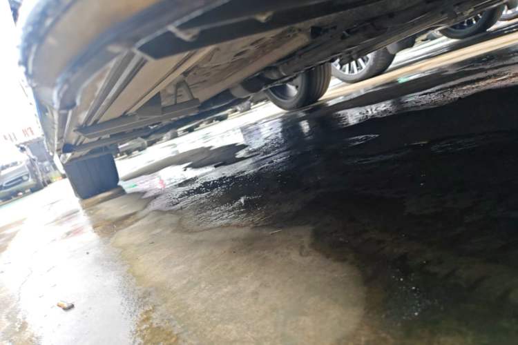 Used Geely Auto Monjaro L 2021 2.0TD High-Power Automatic All-Wheel Drive Luxury Version Left Side Sill