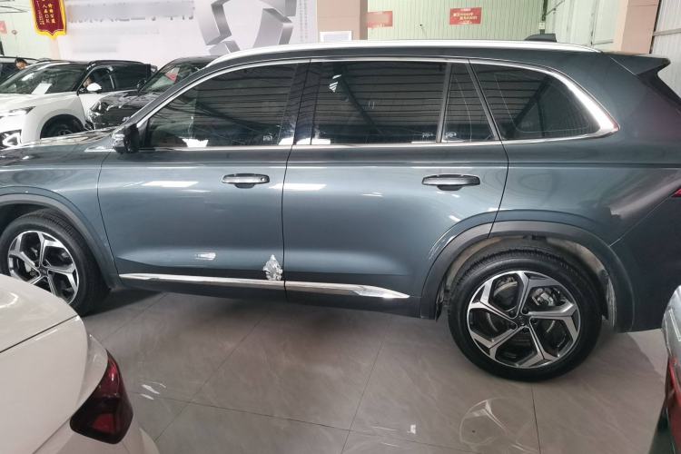 Used Geely Auto Monjaro L 2021 2.0TD DCT EVO Two-Wheel Drive Prestige Version Left Side