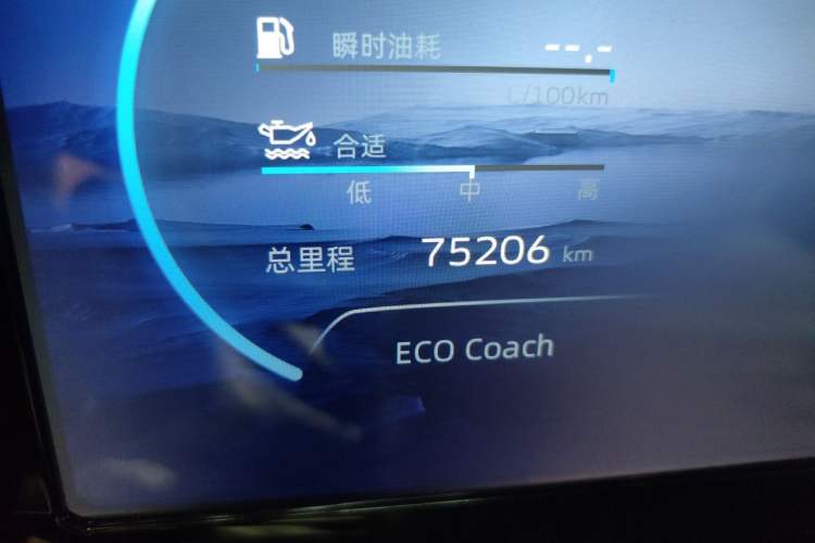 Used Geely Auto Monjaro L 2021 2.0TD DCT EVO Two-Wheel Drive Smart Luxury Version Odometer Close Up
