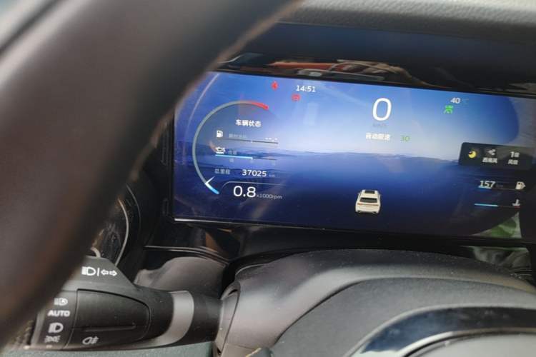 Used Geely Auto Monjaro L 2021 2.0TD High-Power Automatic All-Wheel-Drive Flagship Version Odometer Close Up