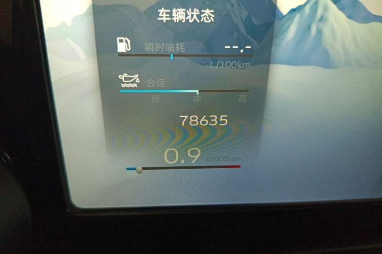 Used Geely Auto Monjaro L 2021 2.0TD High-Power Automatic All-Wheel-Drive Flagship Version Odometer Close Up