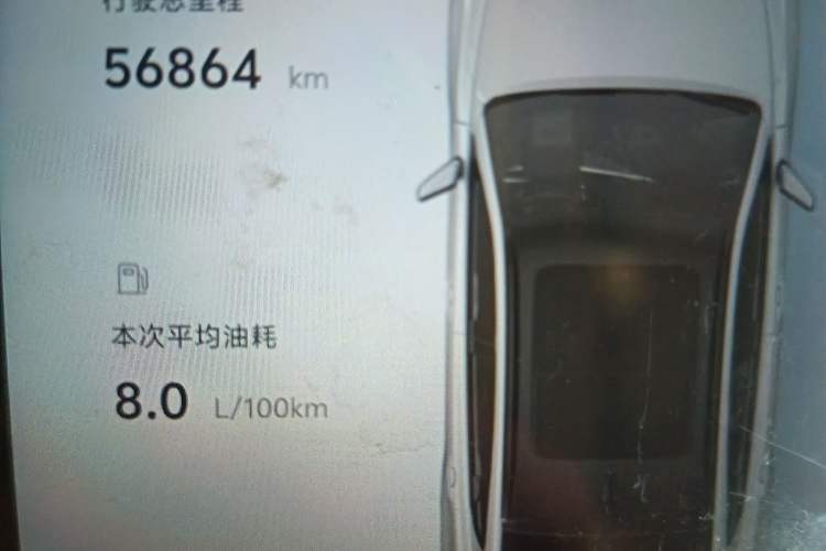 Used Geely Auto Monjaro L 2021 2.0TD DCT EVO Two-Wheel Drive Prestige Version Odometer Close Up