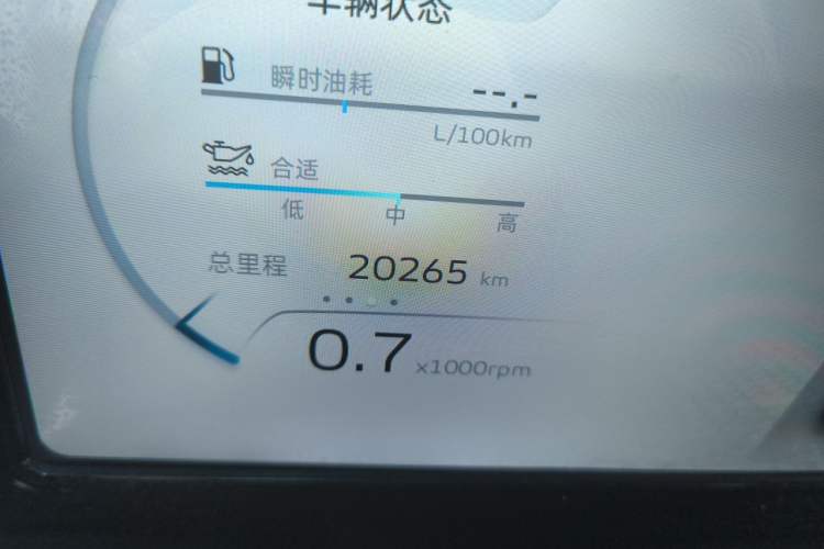 Used Geely Auto Monjaro L 2021 2.0TD DCT EVO Two-Wheel Drive Smart Luxury Version Odometer Close Up