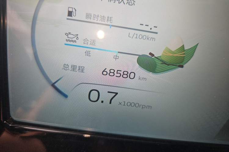 Used Geely Auto Monjaro L 2021 2.0TD High-Power Automatic All-Wheel Drive Luxury Version Odometer Close Up