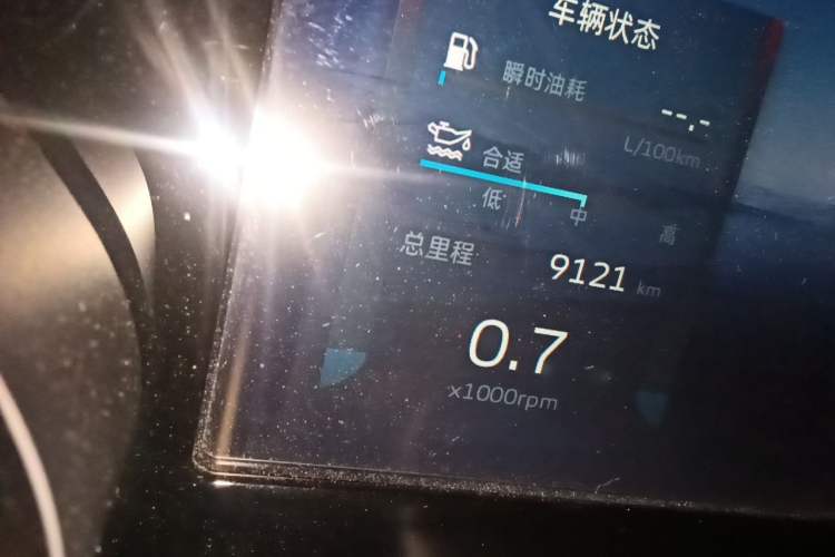 Used Geely Auto Monjaro L 2021 2.0TD High-Power Automatic All-Wheel-Drive Flagship Version Odometer Close Up