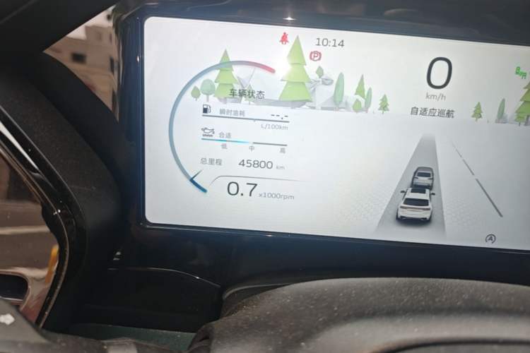Used Geely Auto Monjaro L 2021 2.0TD DCT EVO Two-Wheel Drive Smart Luxury Version Odometer Close Up