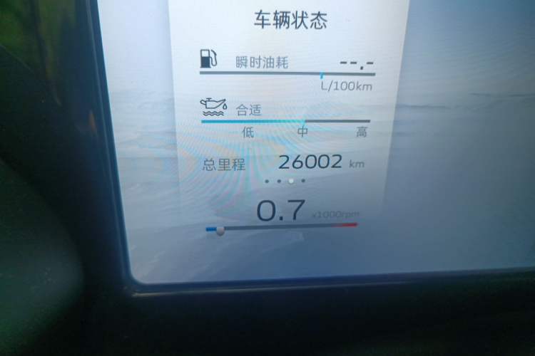 Used Geely Auto Monjaro L 2021 2.0TD High-Power Automatic All-Wheel-Drive Flagship Version Odometer Close Up
