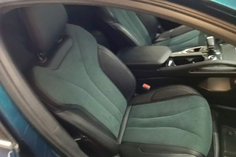 Used Geely Auto Monjaro L 2021 2.0TD DCT EVO Two-Wheel Drive Smart Luxury Version Right Front Seat