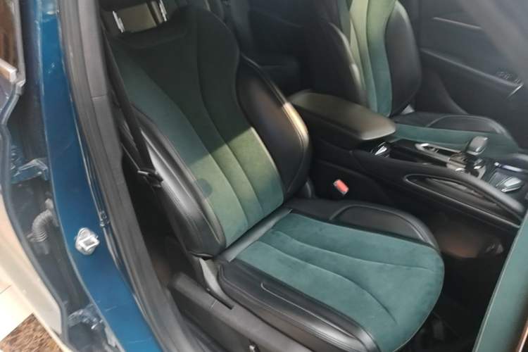 Used Geely Auto Monjaro L 2021 2.0TD High-Power Automatic All-Wheel Drive Luxury Version Right Front Seat