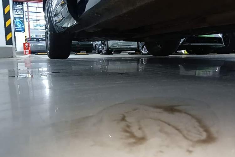 Used Geely Auto Monjaro L 2021 2.0TD DCT EVO Two-Wheel Drive Smart Luxury Version Right Side Sill
