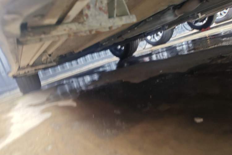 Used Geely Auto Monjaro L 2021 2.0TD High-Power Automatic All-Wheel Drive Luxury Version Right Side Sill