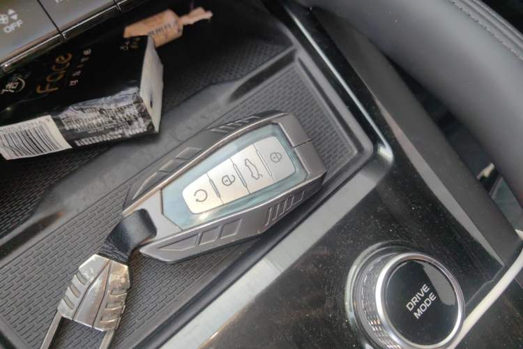 Used Geely Auto Monjaro L 2021 2.0TD High-Power Automatic All-Wheel-Drive Flagship Version Vehicle Key