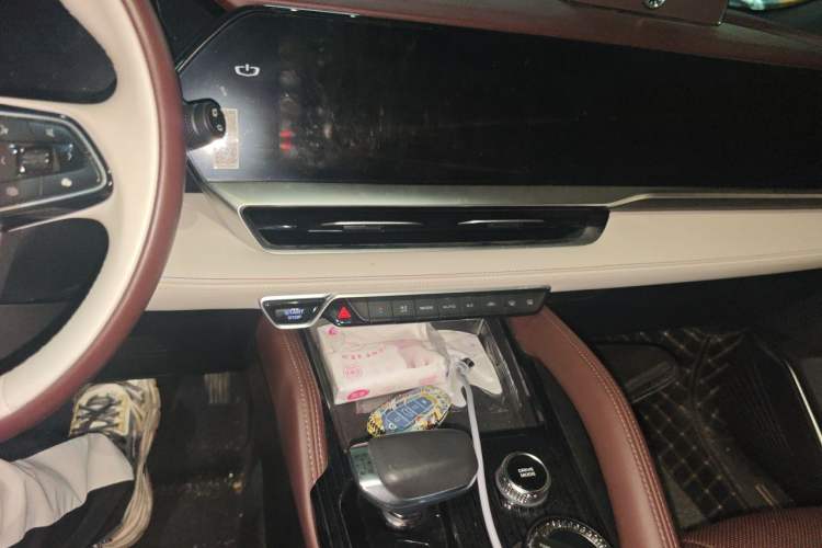 Used Geely Auto Monjaro L 2021 2.0TD DCT EVO Two-Wheel Drive Prestige Version Audio And AC Panel