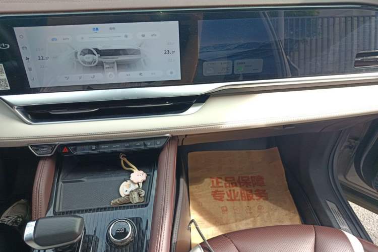 Used Geely Auto Monjaro L 2021 2.0TD High-Power Automatic All-Wheel-Drive Flagship Version Audio And AC Panel