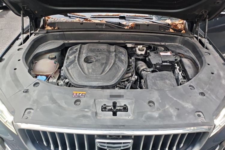 Used Geely Auto Monjaro L 2021 2.0TD High-Power Automatic All-Wheel-Drive Flagship Version Engine Bay