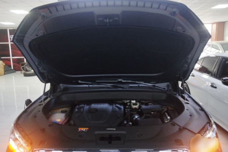 Used Geely Auto Monjaro L 2021 2.0TD DCT EVO Two-Wheel Drive Smart Luxury Version Engine Bay