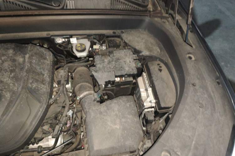 Used Geely Auto Monjaro L 2021 2.0TD DCT EVO Two-Wheel Drive Smart Luxury Version Engine Bay Left