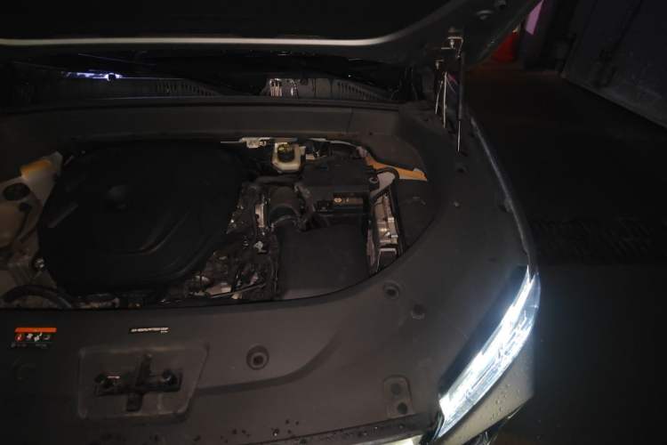 Used Geely Auto Monjaro L 2021 2.0TD DCT EVO Two-Wheel Drive Prestige Version Engine Bay Left