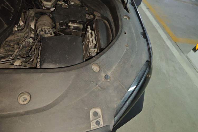 Used Geely Auto Monjaro L 2021 2.0TD High-Power Automatic All-Wheel-Drive Flagship Version Engine Bay Left